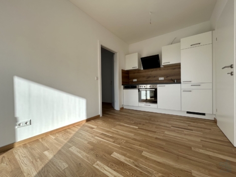 Befristet vermietete – 2-Zimmerwohnung mit Balkon! Anlegerwohnungshit in Straßgang! Provisionsfrei!, 8054 Graz, Terrassenwohnung
