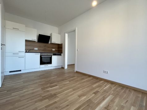 Anleger aufgepasst – Befristet vermietete 2-Zimmerwohnung mit großem Balkon! Provisionsfrei!, 8054 Graz, Terrassenwohnung