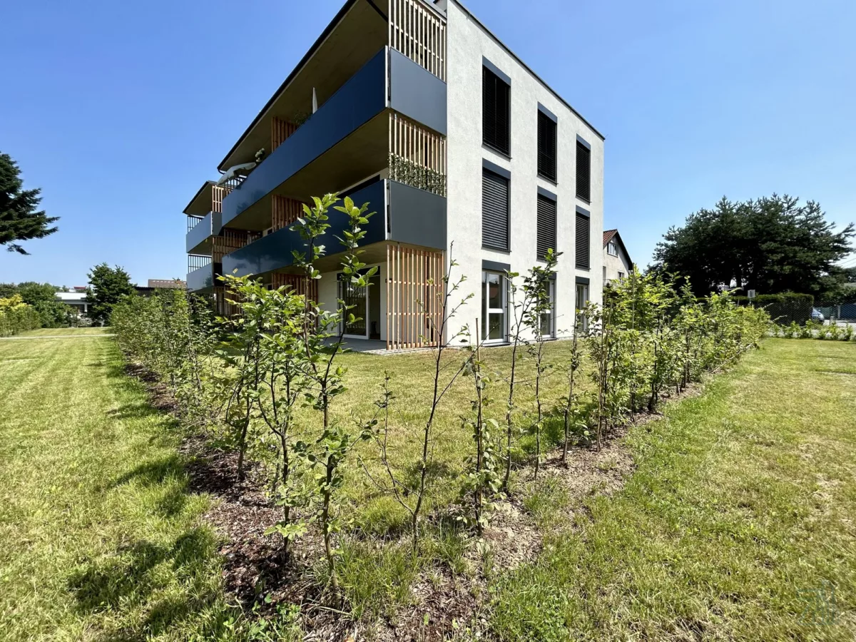 Titelbild