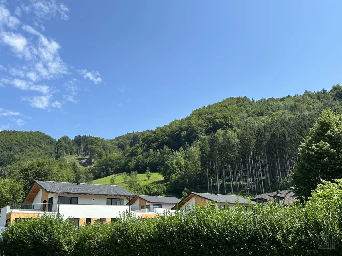 Foto 11.07.24, 11 37 28