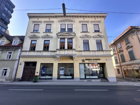 Zinshausinvestment mit Bestandserträgen & Kurzzeitvermietung in Graz, 8020 Graz, Renditeobjekt